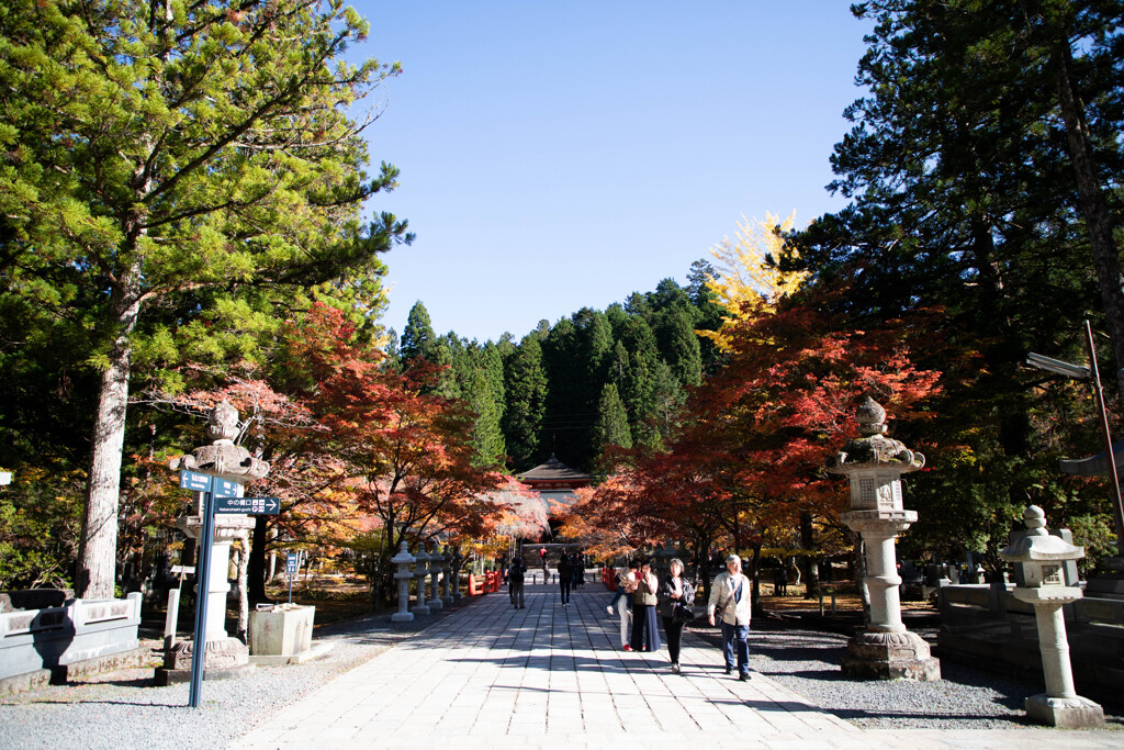 高野山の紅葉