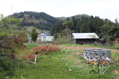 高野町の風景