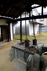フルサイズ機撮影２１回目