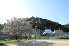 高野町の風景