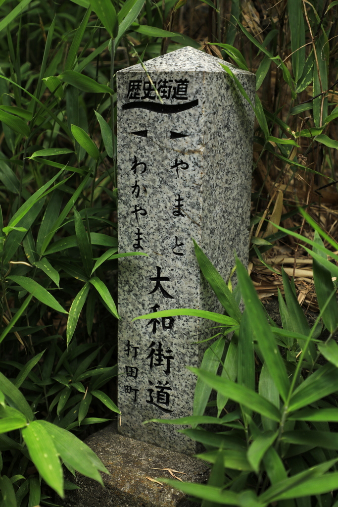 撮影63回目