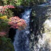 高野山の紅葉