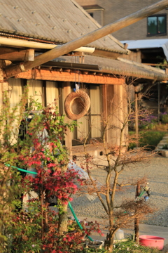 高野町の風景