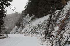 フルサイズ機撮影7回目