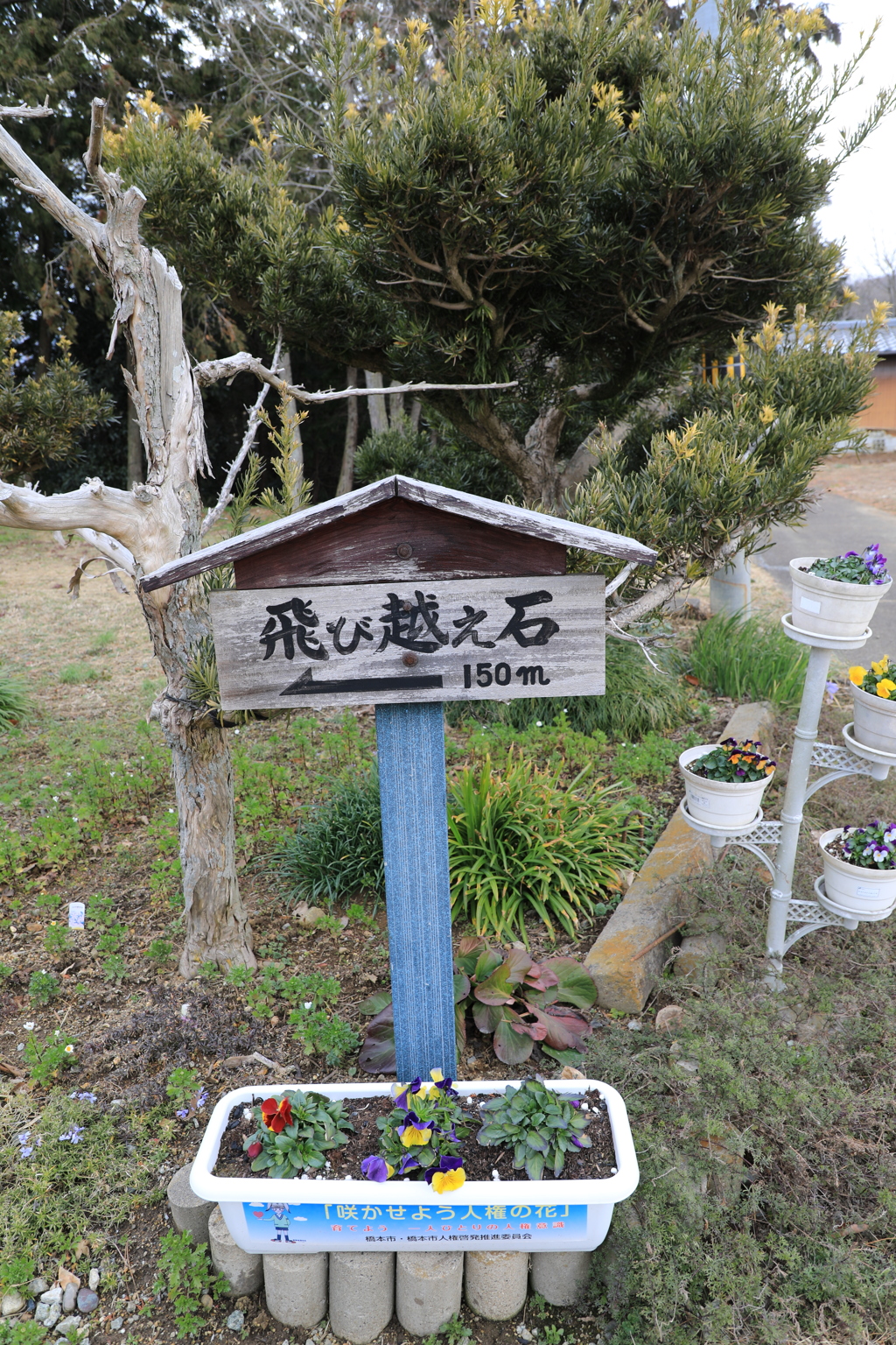 フルサイズ機撮影8回目