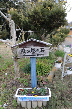 フルサイズ機撮影8回目