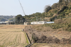 フルサイズ機撮影11回目