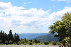 初めての一眼レフカメラ