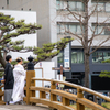 和歌山城の桜
