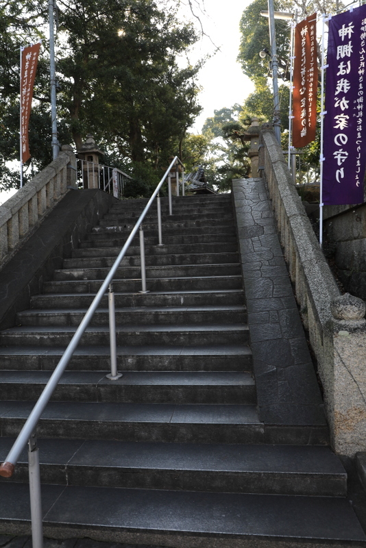 フルサイズ撮影48回目