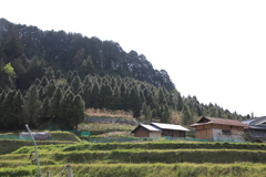 1A5A7059
