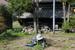 高野町の風景