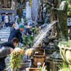 高野山の紅葉