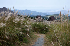 生石高原の秋