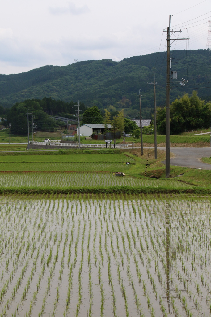 天野の里