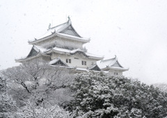 雪の城