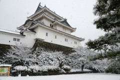 雪の城2