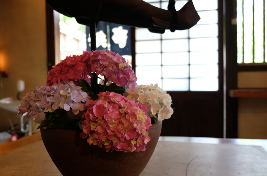 花を見ながら
