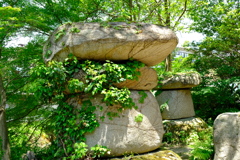 石の椎茸