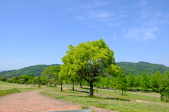 風景