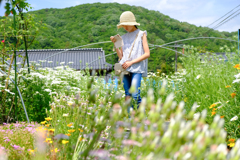 花と孫