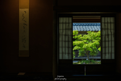 静