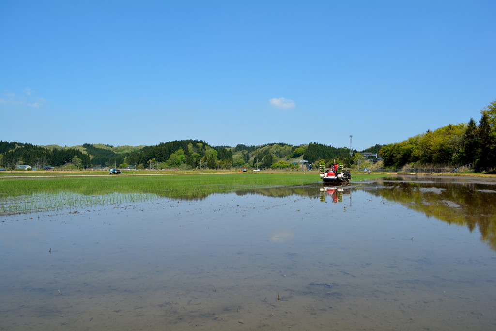 田の色変える