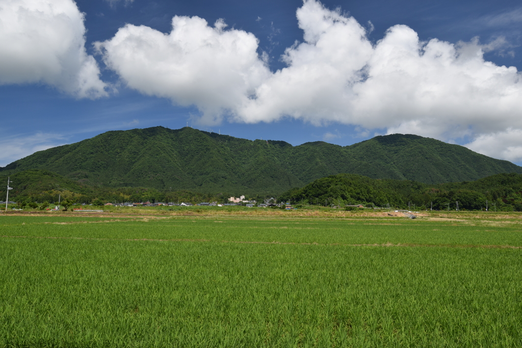 弥彦山と多宝山 2020-06-17