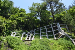 弥彦山スカイラインで2019年08月に崩れた斜面_5