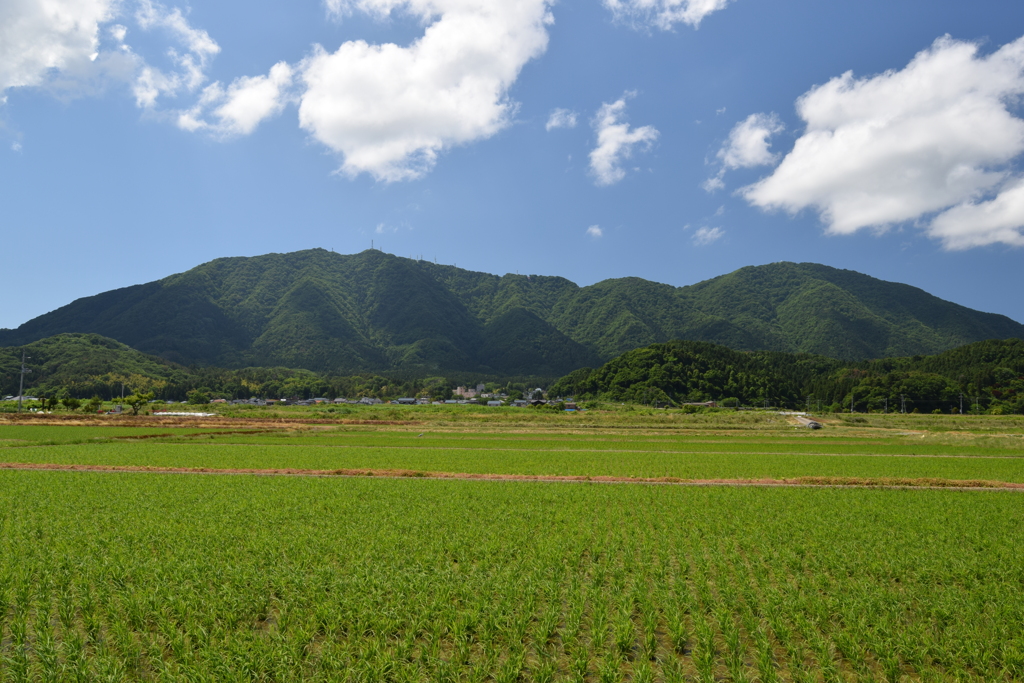 弥彦山と多宝山 2020-06-07