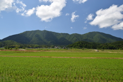弥彦山と多宝山 2020-06-07