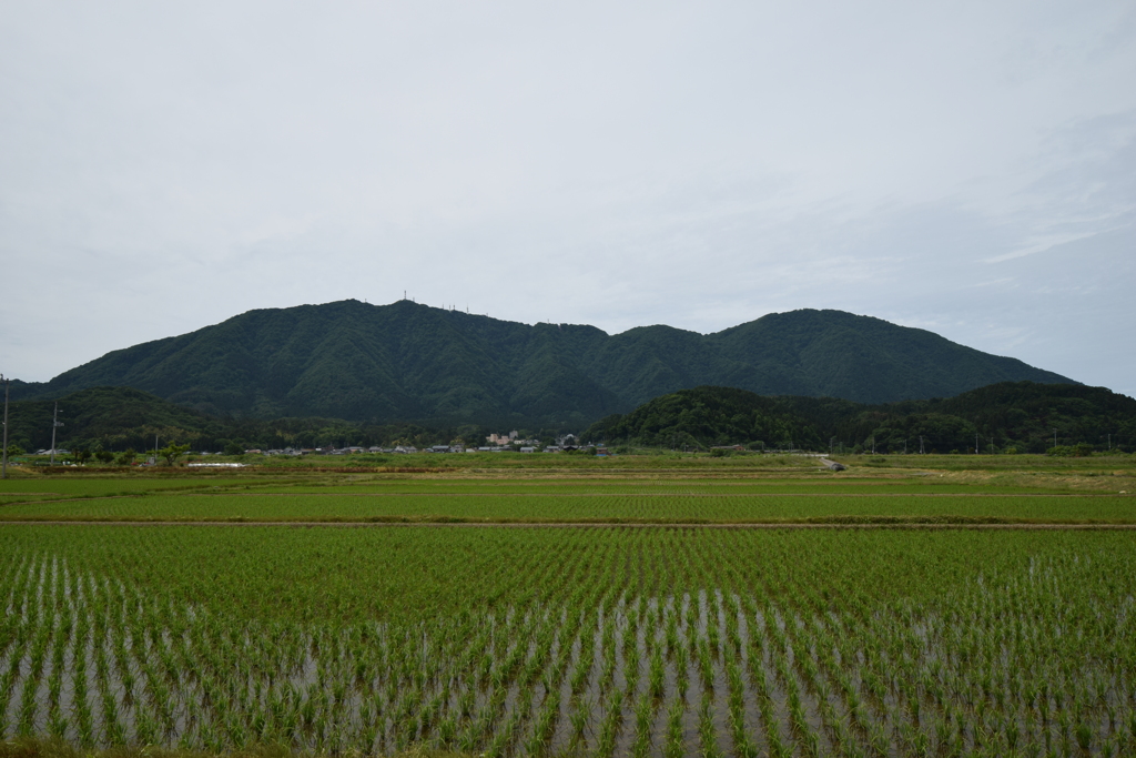 弥彦山と多宝山 2020-06-01