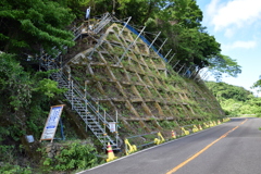 弥彦山スカイライン 金網取付工事