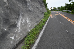 弥彦山スカイラインの事故跡_4-1