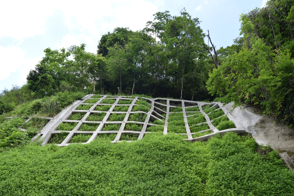 弥彦山スカイラインで2019年07月に崩れた斜面_4