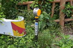 弥彦山スカイライン 新潟県道561号線 10.2KP