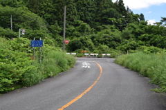弥彦山スカイラインの野積側から登った猿ヶ馬場ゲート付近_2