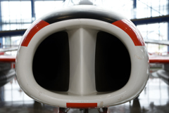 豚鼻飛行機！