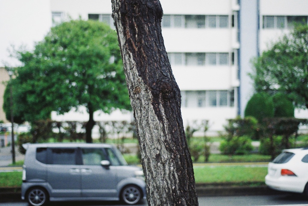 陰陽