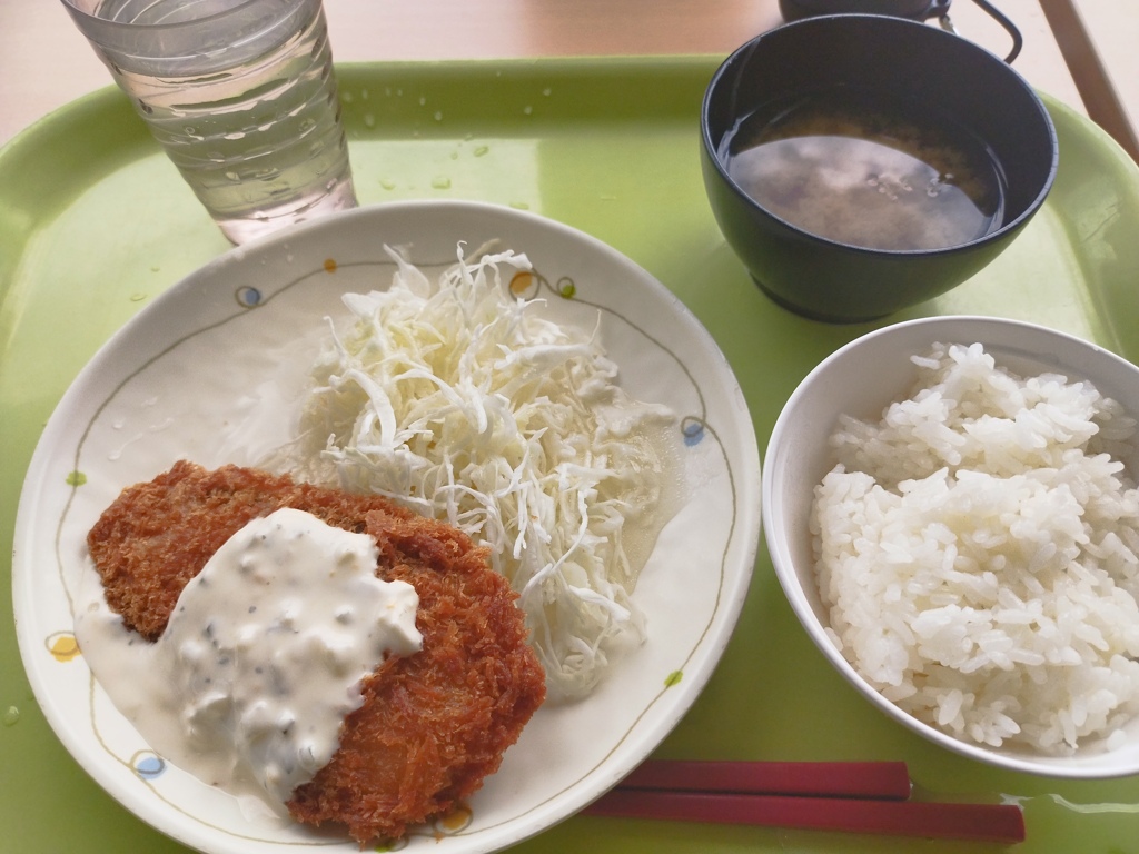 サーモンチーズカツ定食