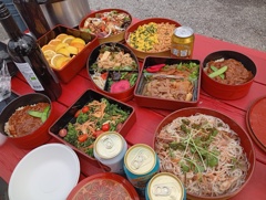 ヴィーガン花見弁当