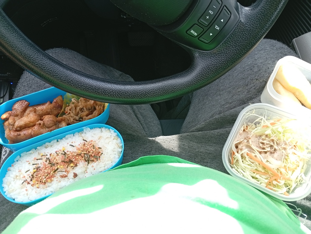 車でタンドリーチキン弁当