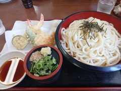 点ざるうどん