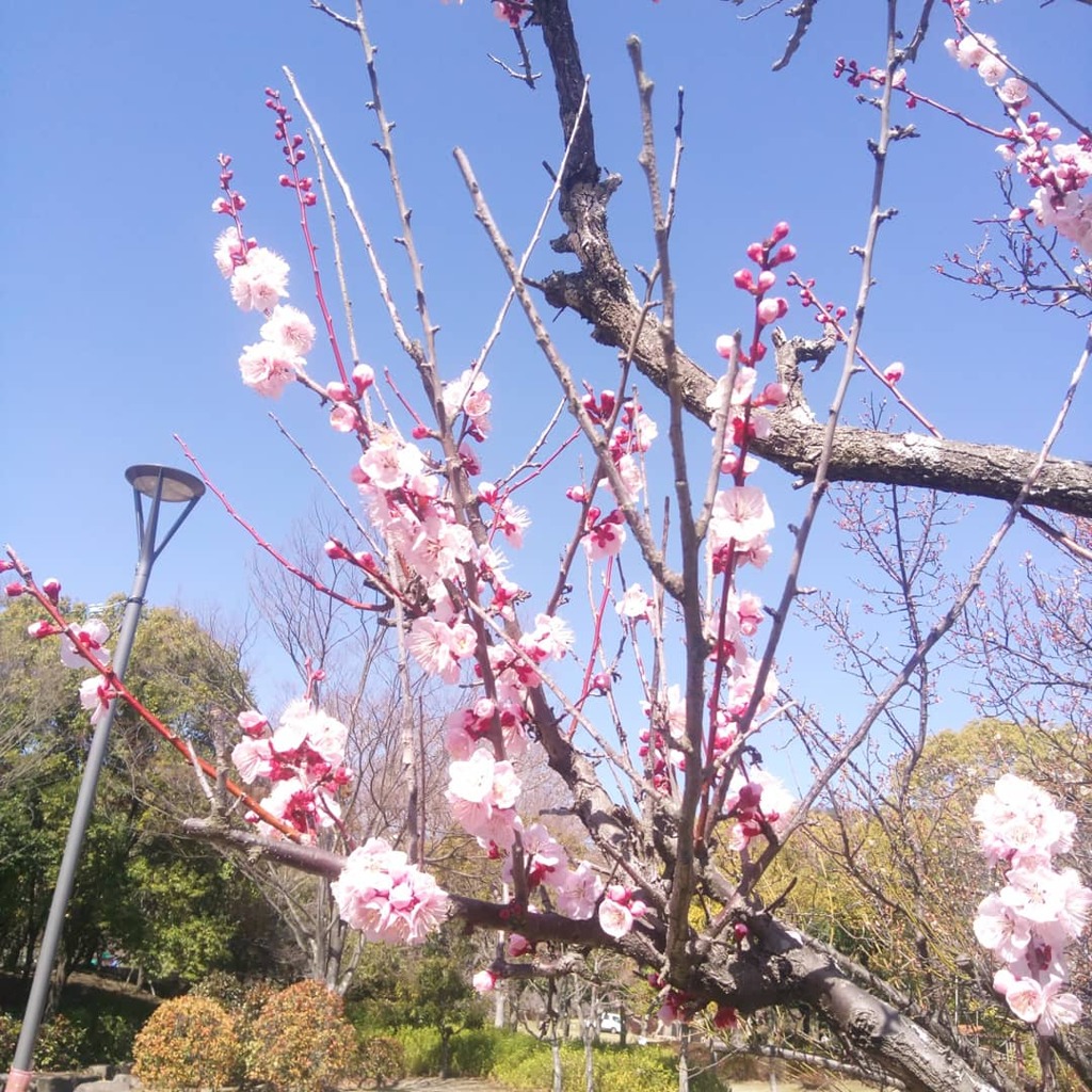 IMG_20210303_160658_783