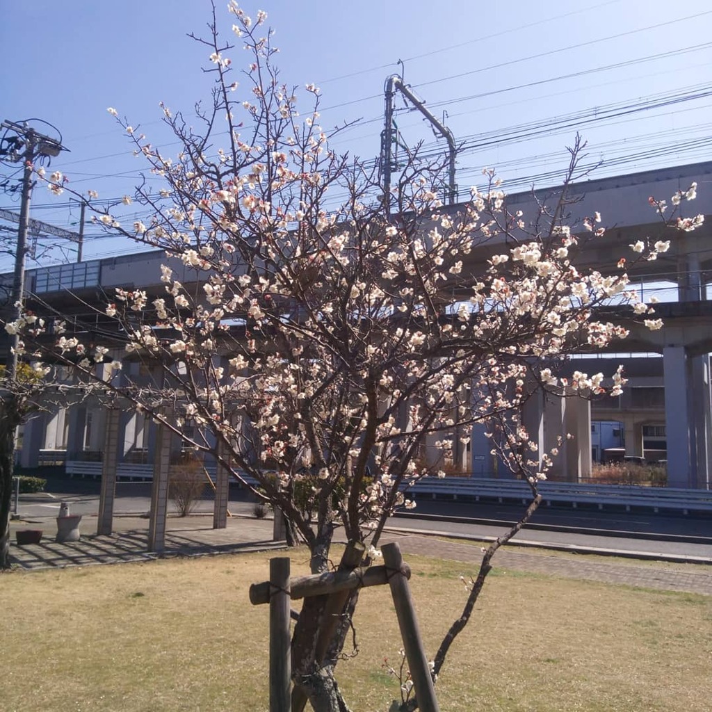 IMG_20210303_160658_945