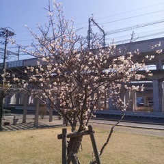 IMG_20210303_160658_945