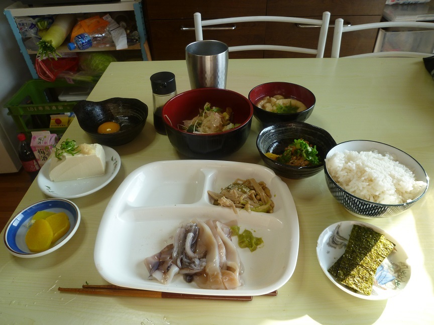 イカの刺身　20201222