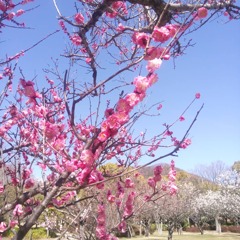 IMG_20210303_160658_866