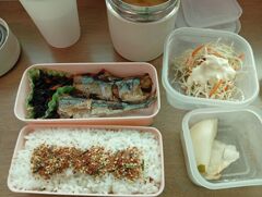 さんま弁当