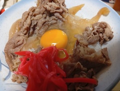 牛丼
